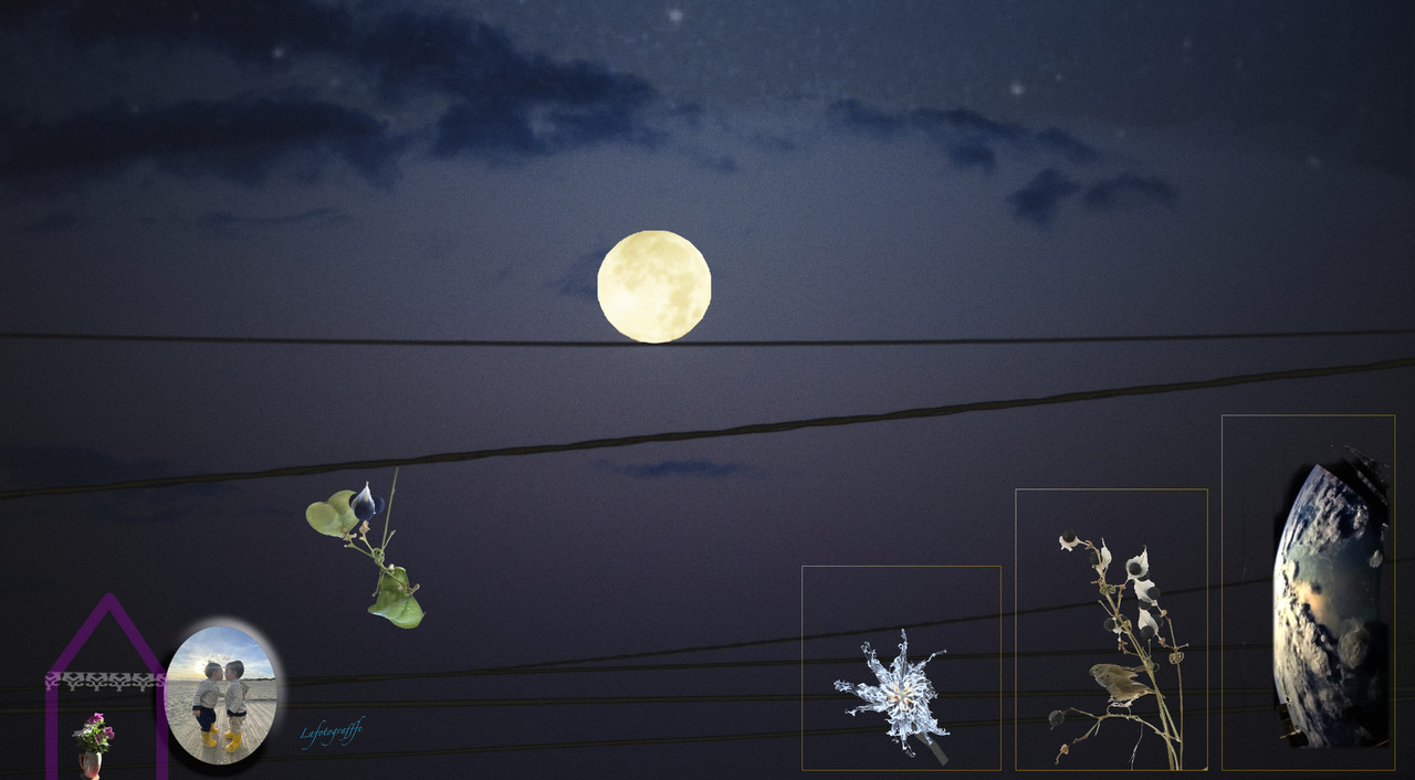 Lune Funambule Mars2019 Nef   5864