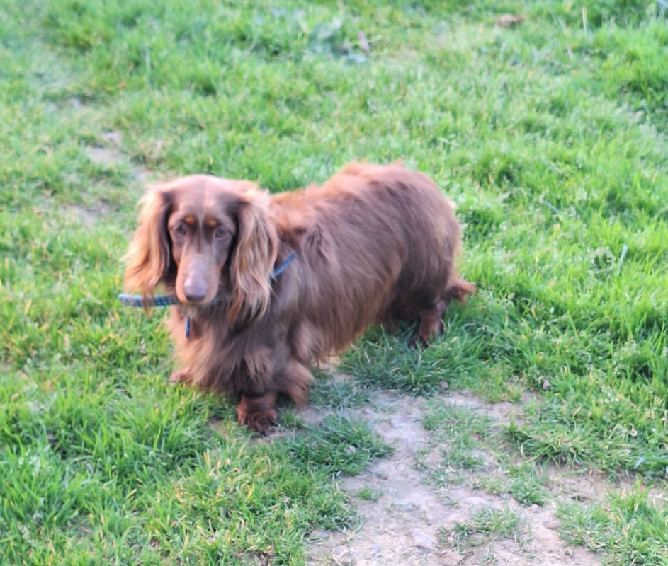 [Image: 20240324-181226.jpg]