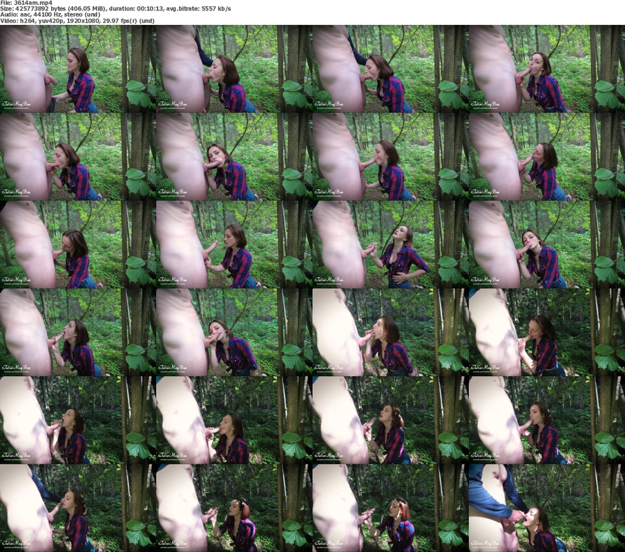 09092024115652screenshot