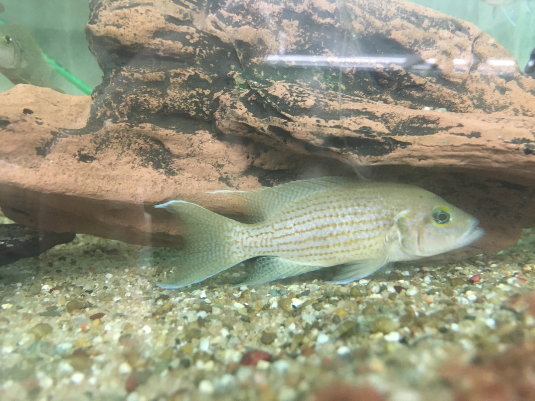 E2A4439A-8EFC-4A92-897F-1BD5B8C093B4