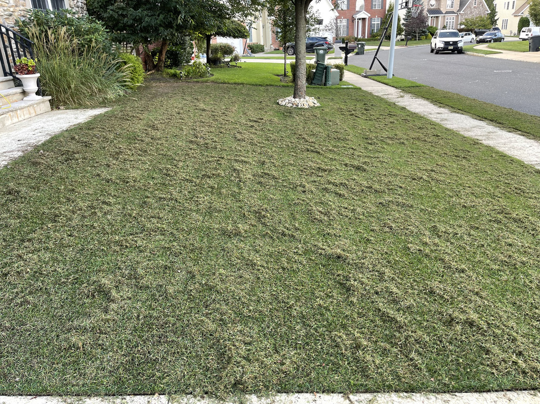 FCD976F9-EAB3-47CB-9127-120BAB4BC7F3