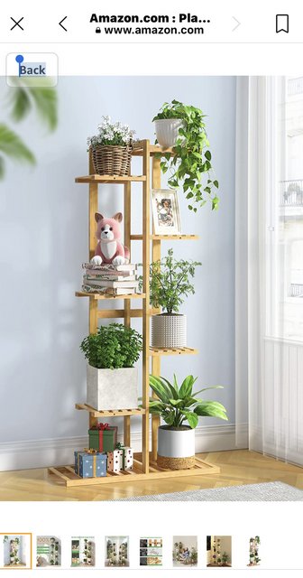 [Image: 2-A3-EB211-D435-44-D8-8938-43812-EE24-B8-B.jpg]