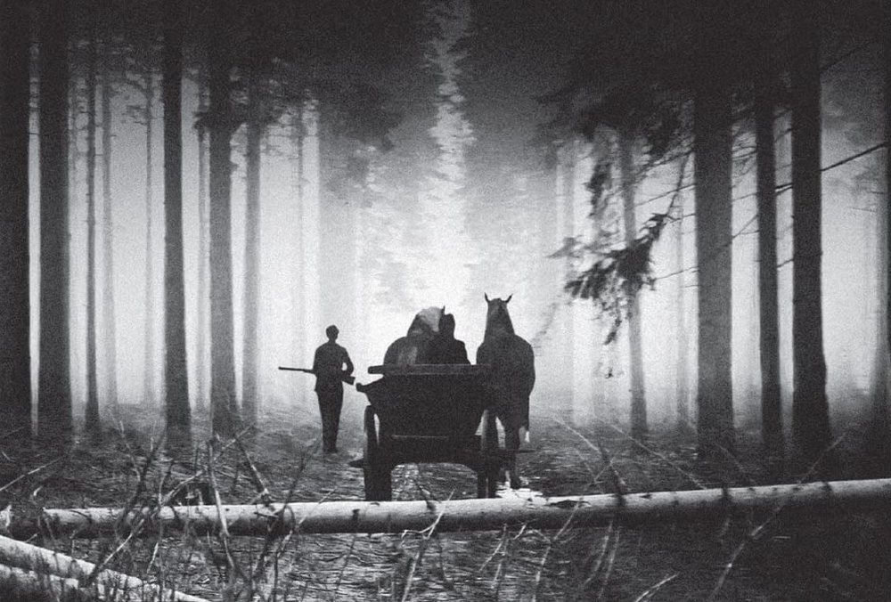 Kočár do Vídně (1966)