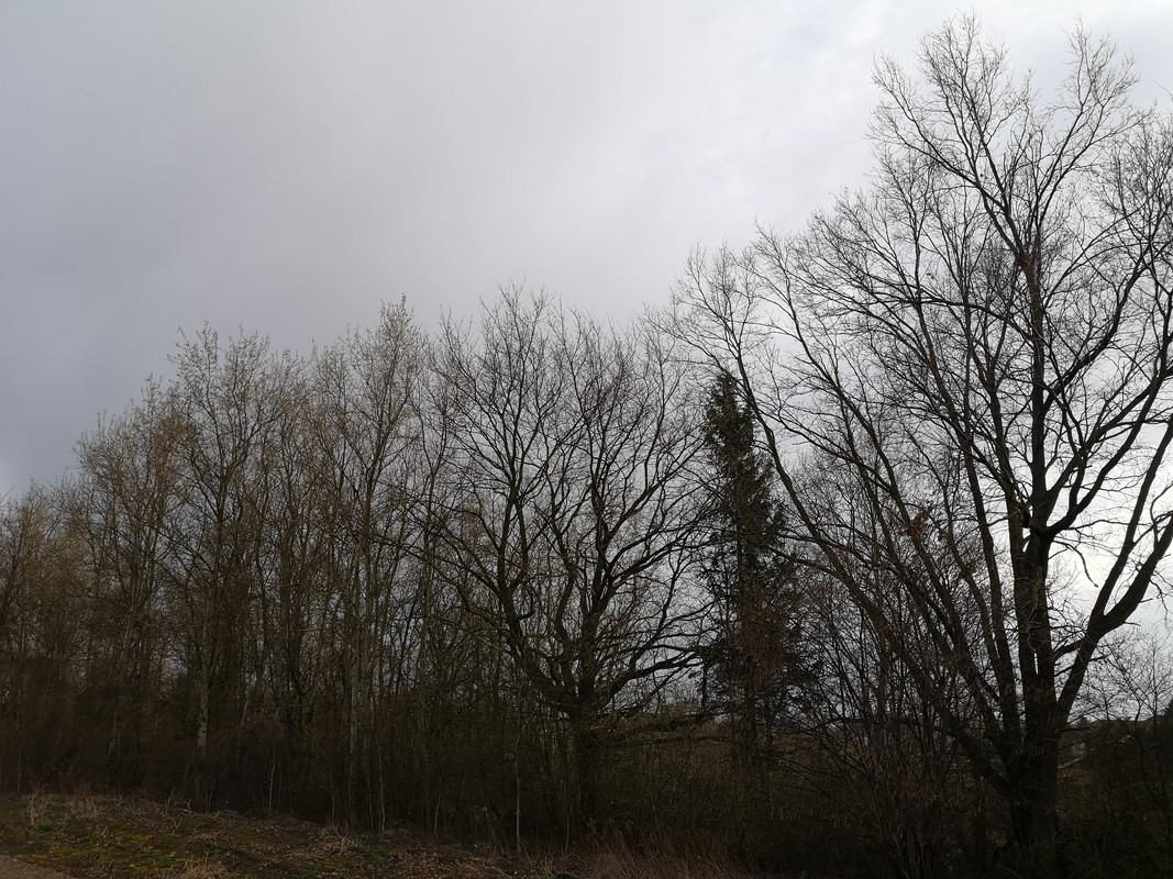 [Obrazek: IMG-20190326-160218.jpg]