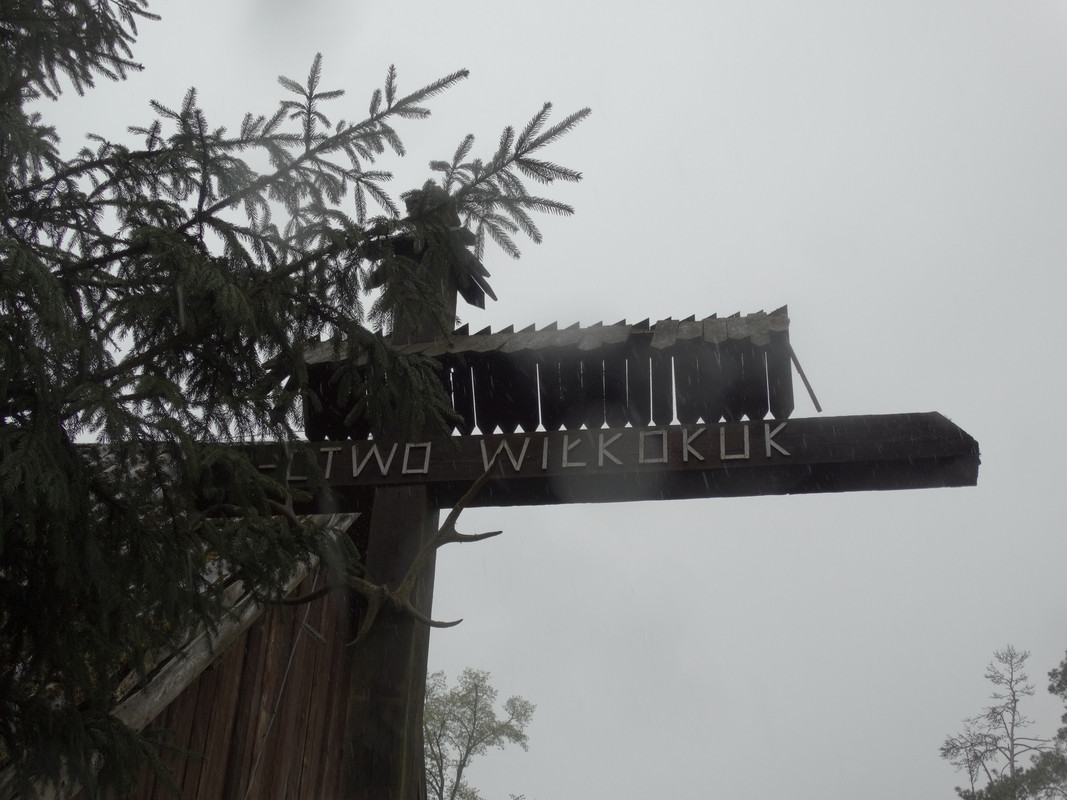 06.26 - DSC09396 (Czesio1)