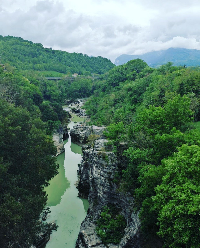 D7D289AB-8EBE-474B-8AB5-2EA1D33C68DE