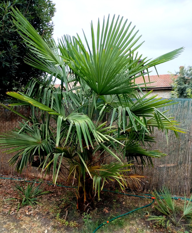 IMG_20250819_175402_edit_202377081297745