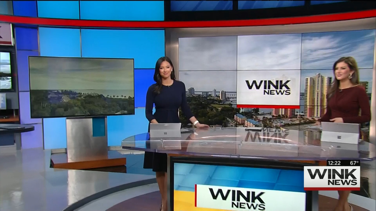 01.18 - 17.00.00 - WINK Noon News..mts_snapshot_24.26.030