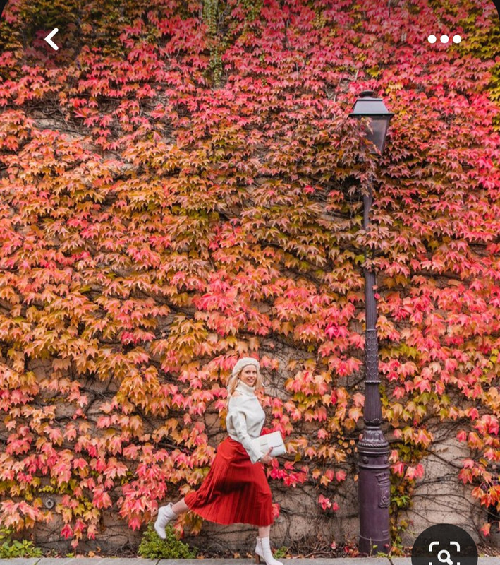 Screenshot_20230614_011645_Pinterest