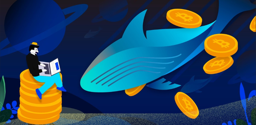 article imageНа что делают ставки крипто-киты после обвала рынка