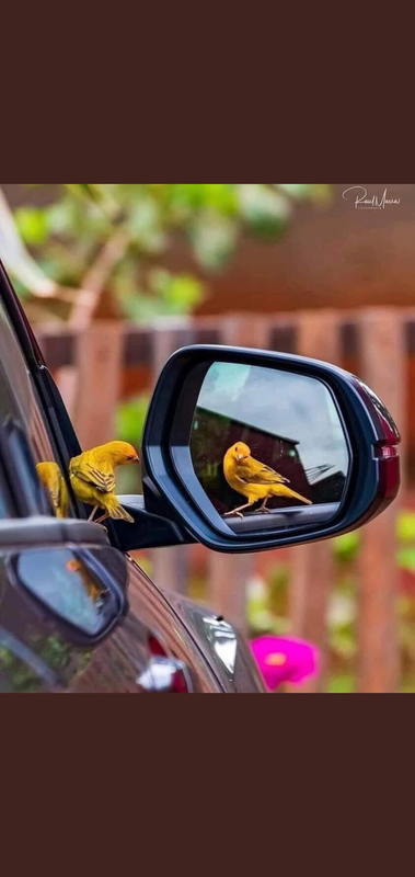 Screenshot_٢٠٢١٠٥٠١-٠٨١٥٠٤