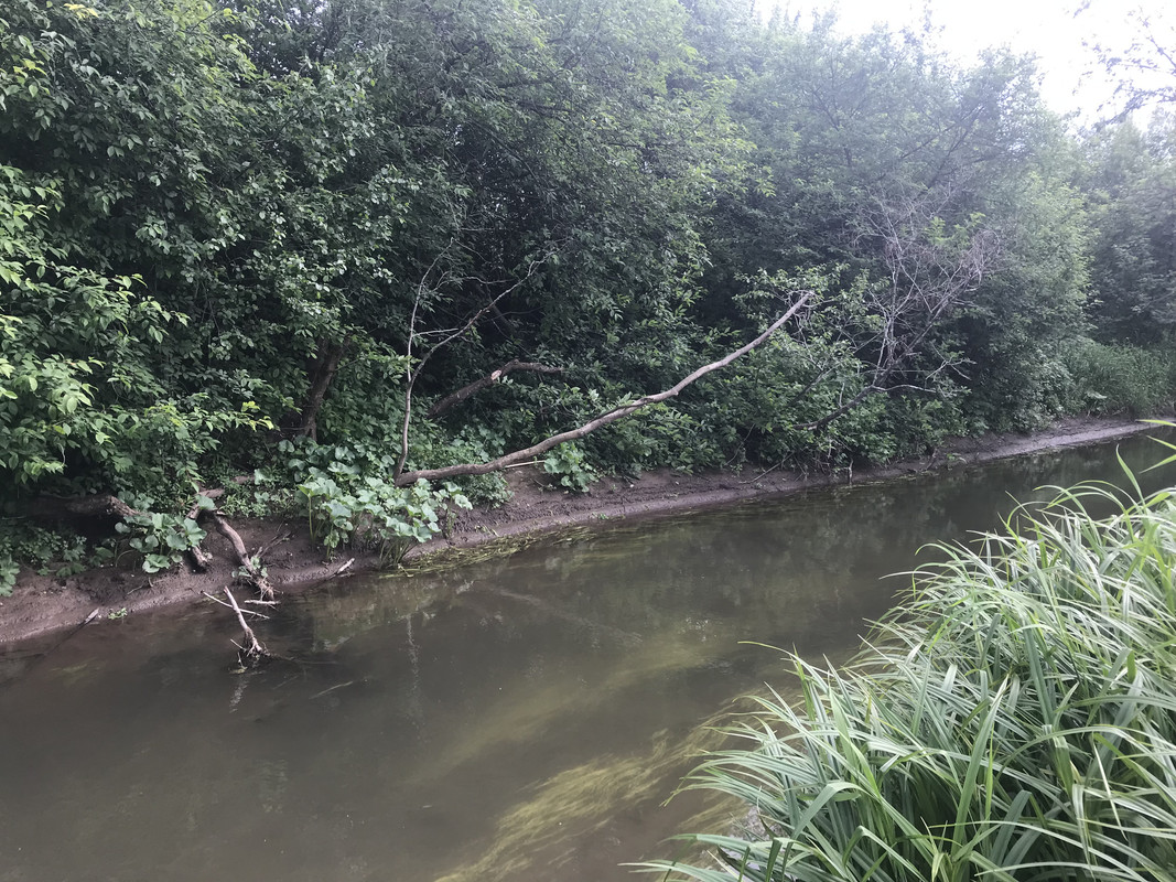 D5CF3000-2165-404E-BDC4-8A751339BF5D