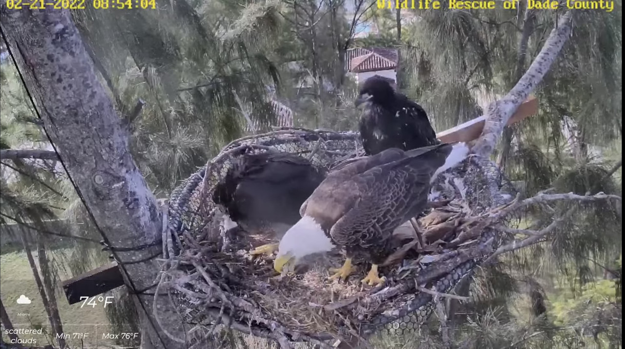 D385A4B4-ADF2-4F0B-ACD0-916631612C77