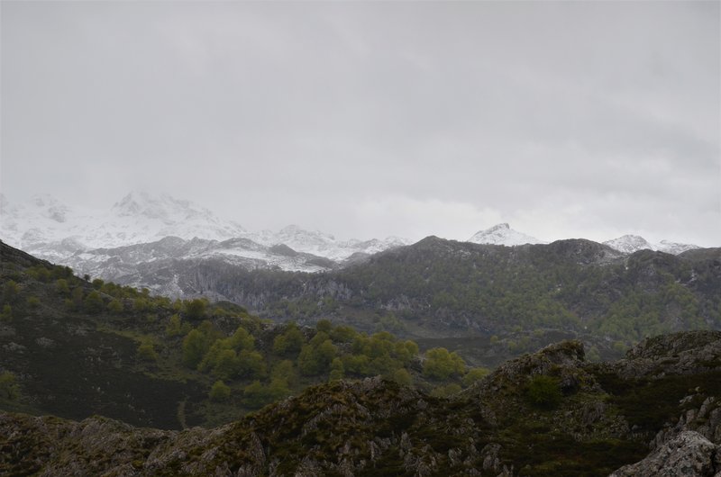 PICOS DE EUROPA-16-5-2013-LEON/ASTURIAS/CANTABRIA - Paseando por España-1991/2016 (5)