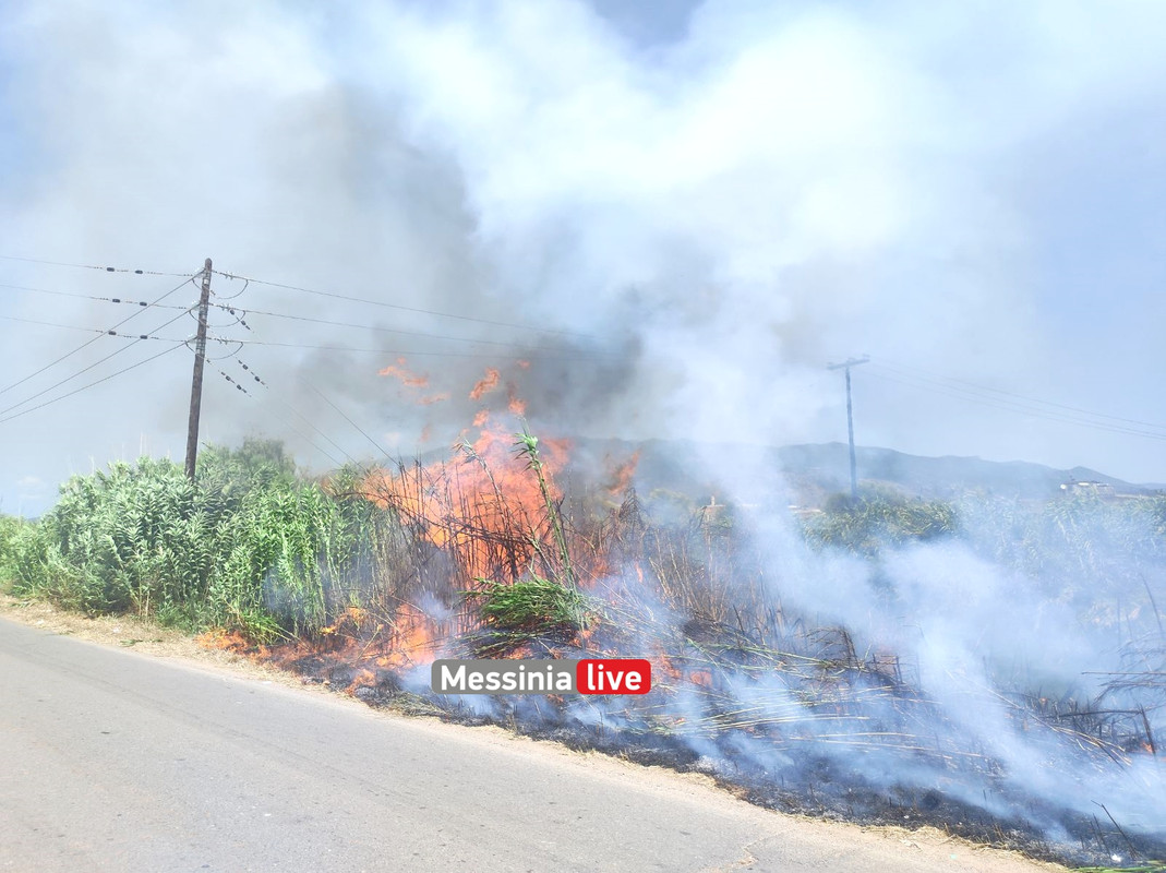 ARIS FOTIA εικόνα_Viber_2023-07-08_14-09-15-510