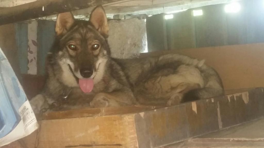 изображение_viber_2019-07-21_18-00-33