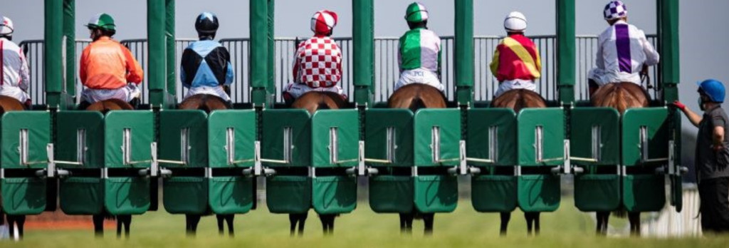 Les cavaliers et leurs chevaux prêts au départ.