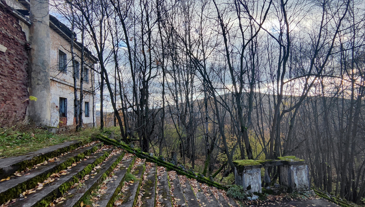 PA062024y.jpg
