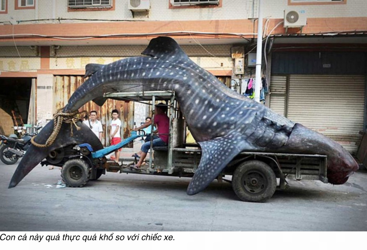 EDFE4DED-9CCE-49FB-A46A-8E74DA907261