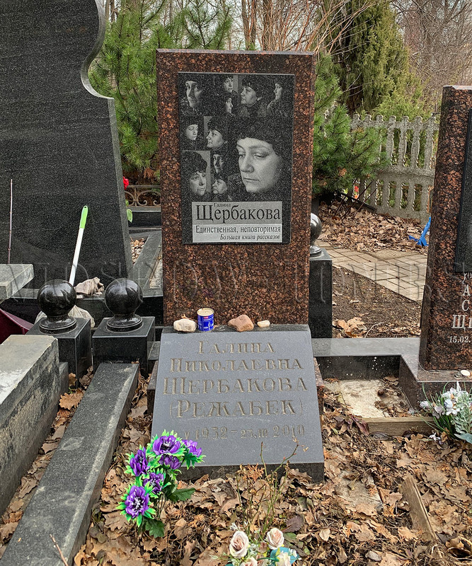 shcherbakova-gn-new