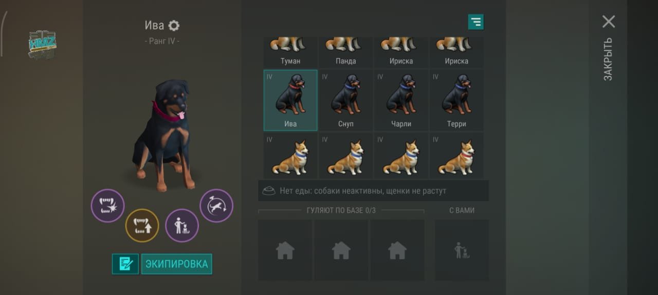 8u4ng2ml3zzgxam5r9o5