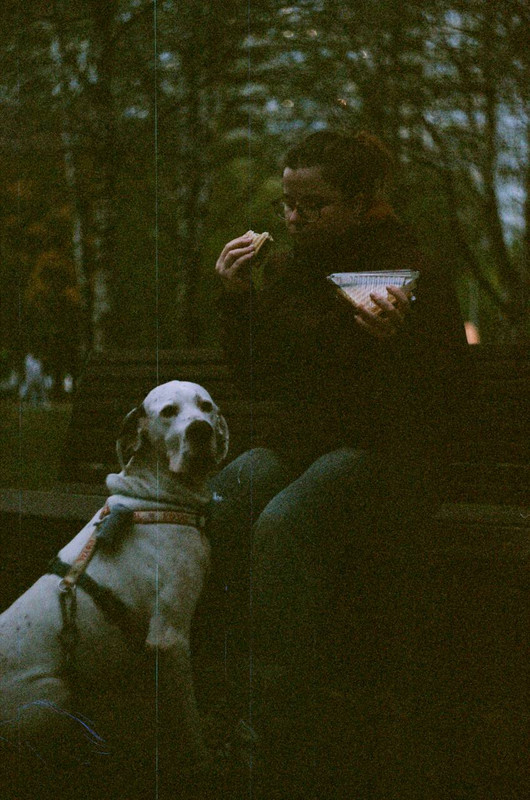 876DB365-CECF-4937-9531-CECA876D07E8