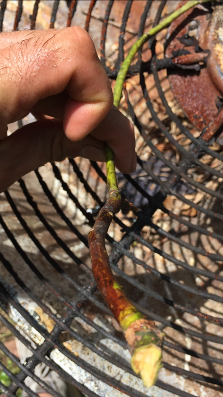 175CA6F0-2D76-4413-8F99-74363E6C7E5A