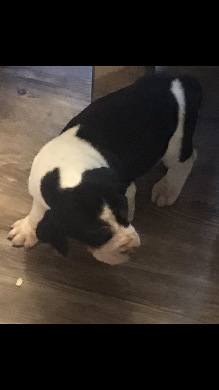 75EDE08F-9856-48D8-8C5F-7D8561AF50EE