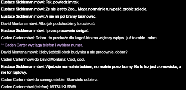 zi1.png