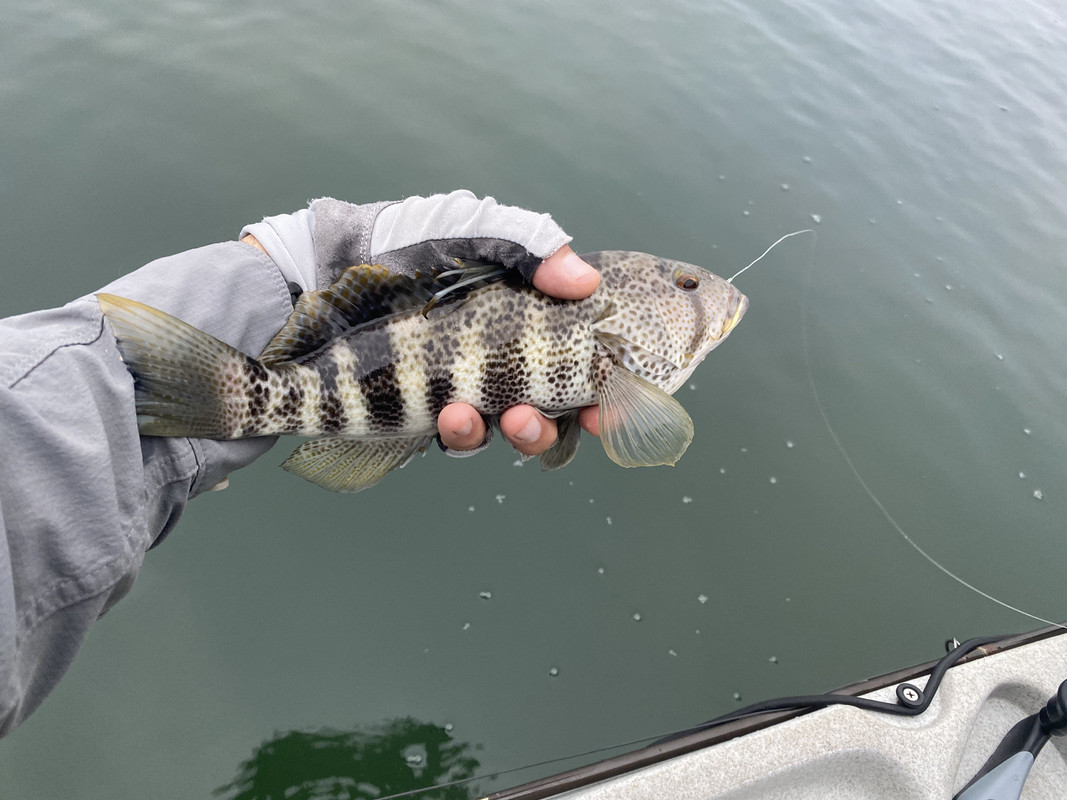 E95F78D8-0769-486F-B202-3D34866523AF