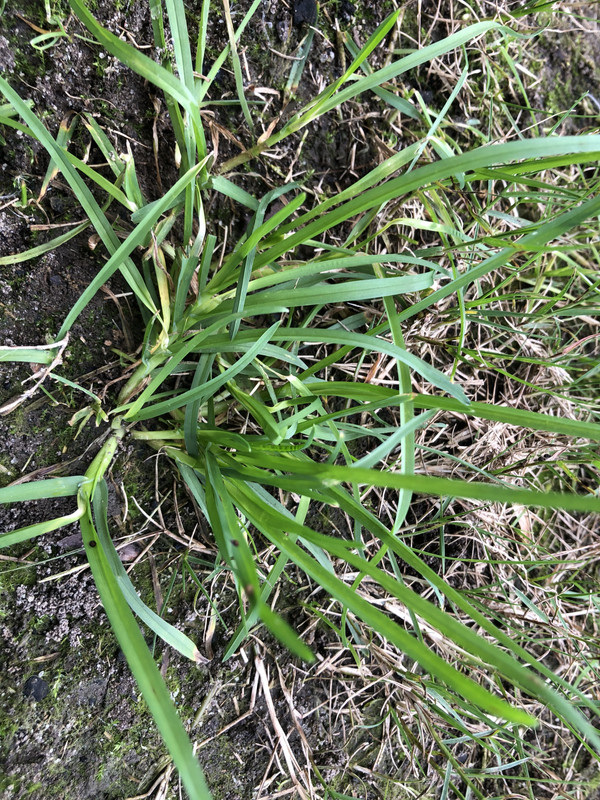 79DC91C1-AEF4-467E-91D4-7F611B9682D3