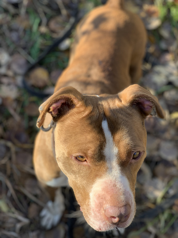 82A2092C-E602-411A-89CE-B4E4484F5C8C