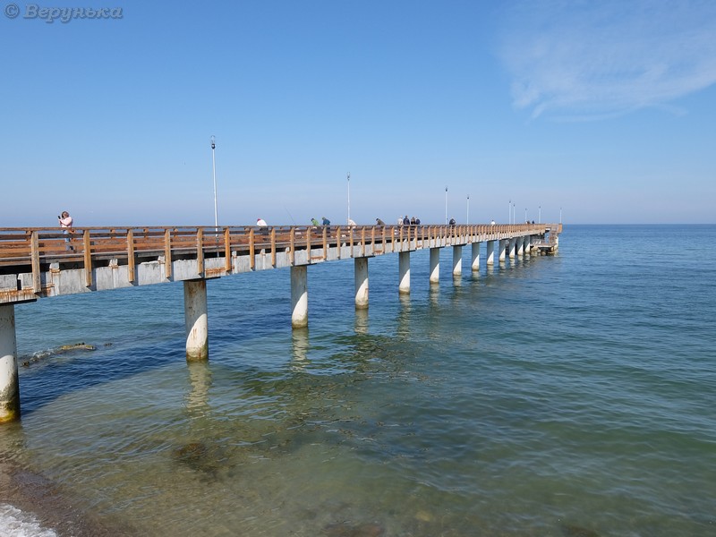 DSCF4431