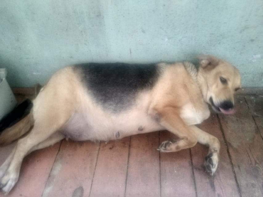 6A2B1996-CEB7-456A-9971-002AB8F8CB6B