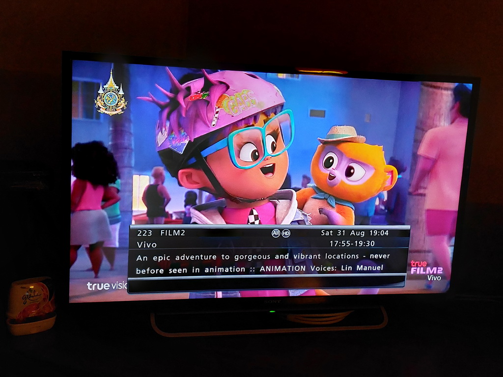 Vivo the monkey and his pink-haired human companion, with EPG synopsis on screen reading 'An epic adventure to gorgeous and vibrant locations - never before seen in animation', from August 2024