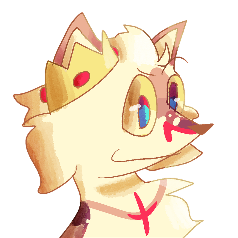 53254755_j1yw1M4At776jmz