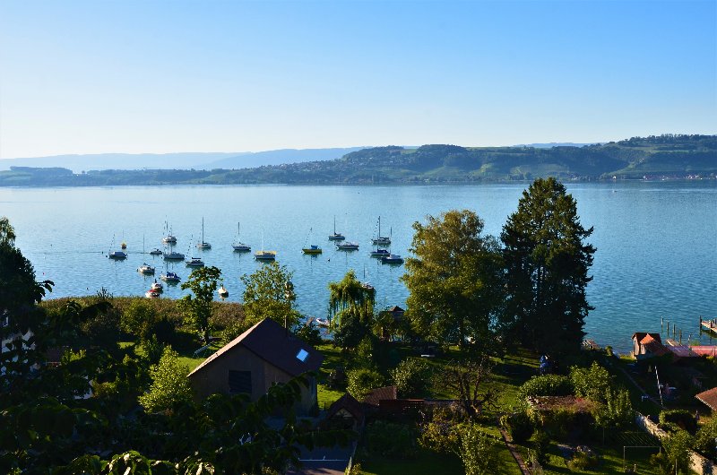 MURTEN-4-9-2019 - Suiza y sus pueblos-2019 (28)