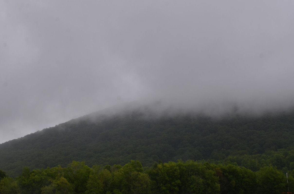 DSC-6860.jpg