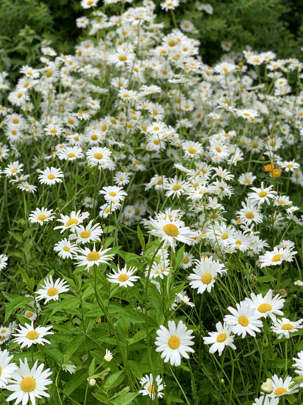 F3865B48-5EDD-4936-B86D-46797B5BBBA3