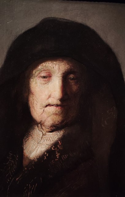 Escapada por Amsterdam - La Haya - Delft - Rotterdam - Leiden - Londres - Blogs de Europa - Museo Mauritshuis, decepcionante Depot Boijmans y callejeo por Delft y Leiden (223)