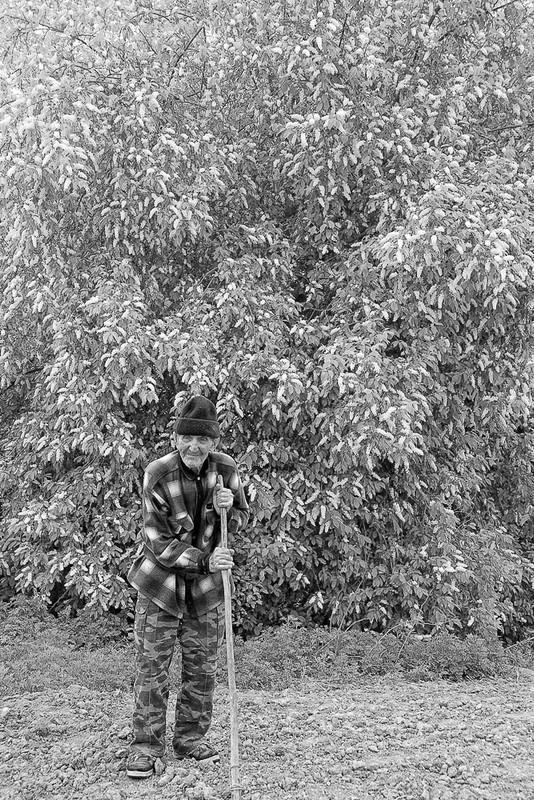 весенние трудодни