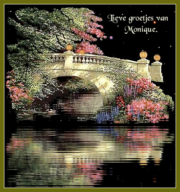 Nacht-water.gif