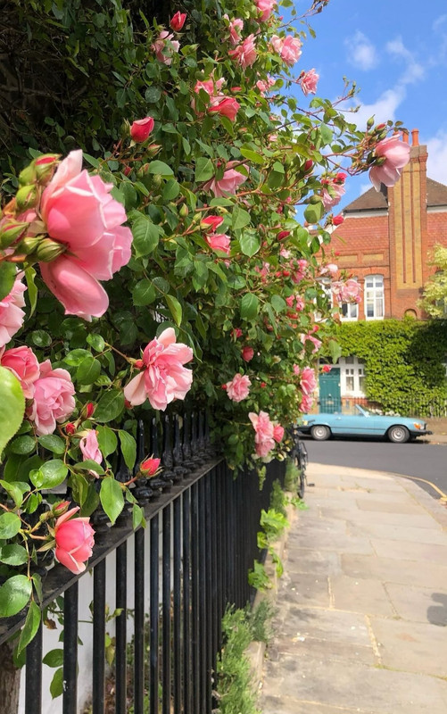 Screenshot_20240505_212254_Threads