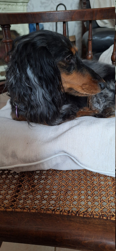 [Image: 20251122-143827.jpg]