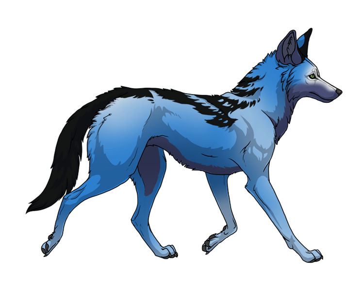 Bluejay-42720