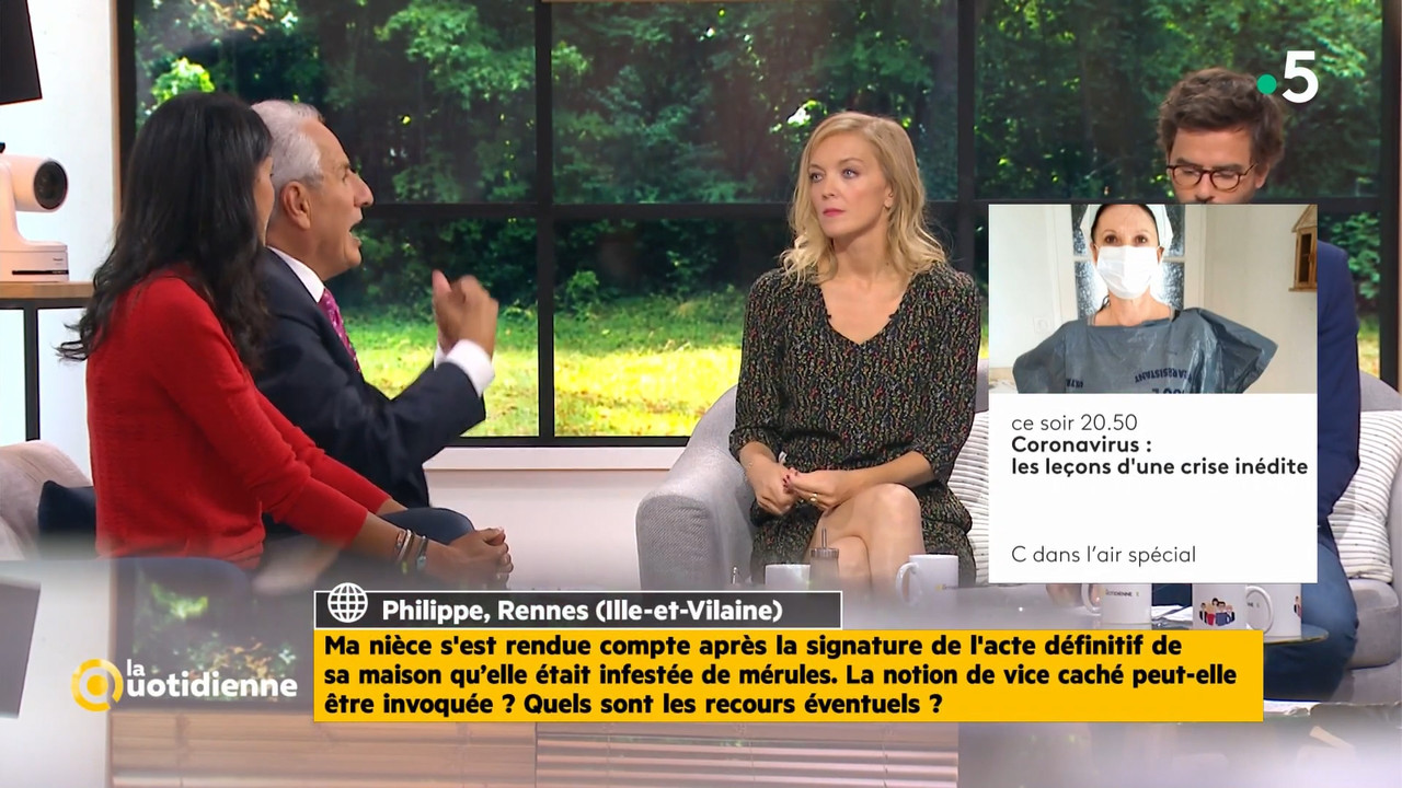 2020-06-30_11_45_Fr5_La-quotidienne.mp4_snapshot_01.17.34.795