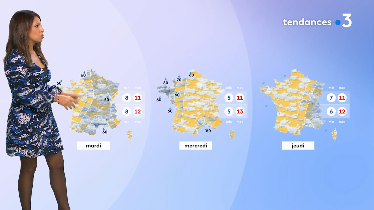 vlc-record-2021-03-23-00h38m19s-2020-12-13_21_00_Fr3_Meteo.mp4-.mp4_snapshot_02.10_[2021.03.23_00.54
