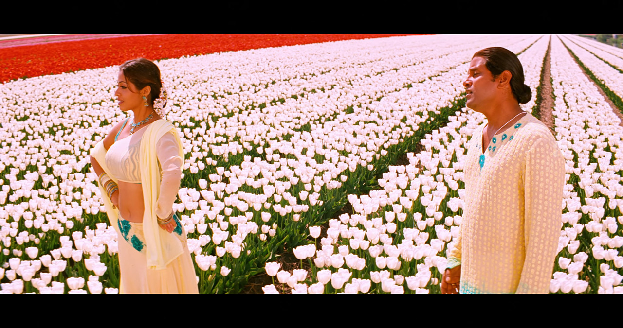 VideoCapture_20241122-195624