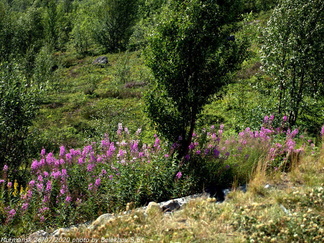 Мурманск, виды, Семёновское озеро Мурманск, виды, Семёновское озеро