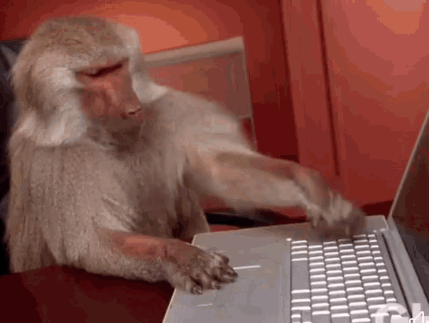 spike-monkey-typing.gif